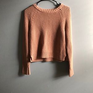 Fossil sweater